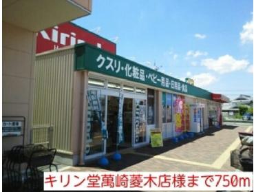 キリン堂萬崎菱木店様：750m