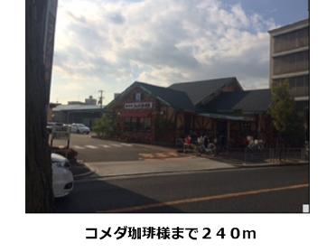 コメダ珈琲店様：240m