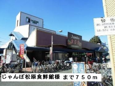 じゃんぼ松原食鮮館：750m