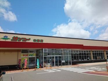 サンコー木津店：300m