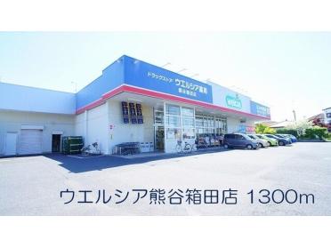 ウエルシア熊谷箱田店：1300m