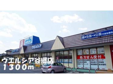 ウエルシア谷郷店：1300m