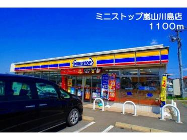 ミニストップ嵐山川島店：1100m