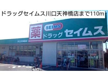 ドラッグセイムス川口天神橋店：110m