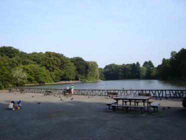 善福寺公園：160m