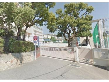 神戸市立池田小学校：672m