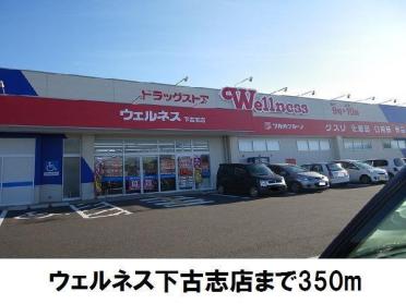 ウェルネス下古志店：350m