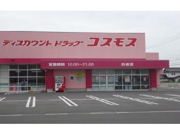 コスモス　白枝店：1000m