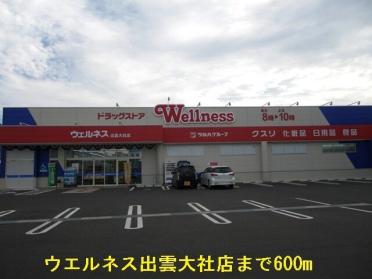 ウエルネス出雲大社店：600m