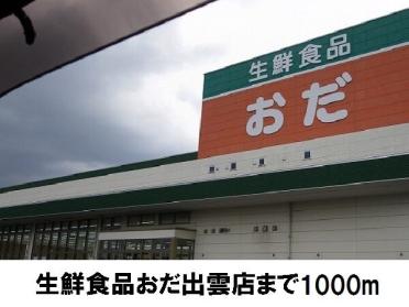 生産食品おだ出雲店：1000m