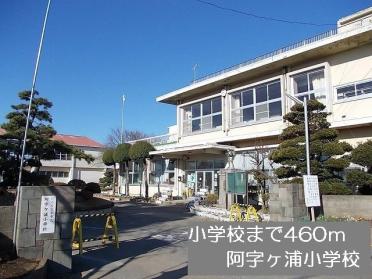 阿字ヶ浦小学校：460m