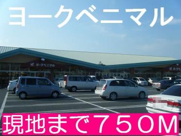 ヨークベニマル新原店：750m