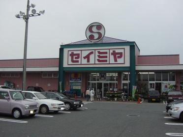 セイミヤ馬渡店：1172m