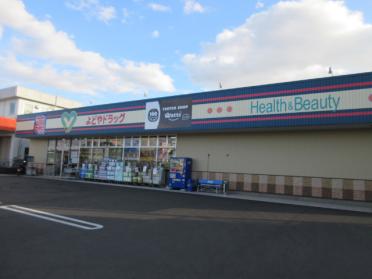 よどやドラッグ高知土佐道路店：399m