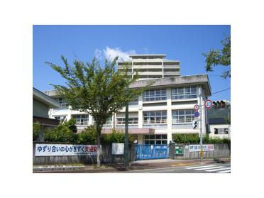 高知市立秦小学校：802m