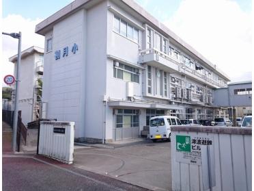 高知市立初月小学校：788m