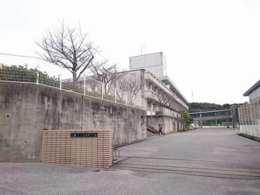 高知市立横浜中学校：1407m