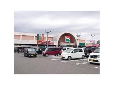 ナンコクスーパー高須店：1353m