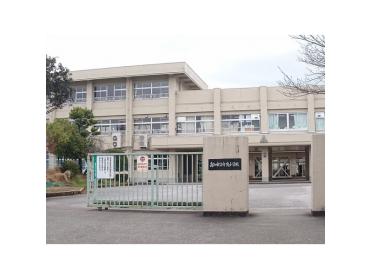 高知市立介良小学校：250m