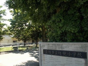 桔梗小学校：1400m