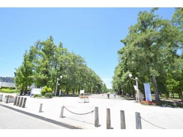 花博記念公園鶴見緑地：1316m