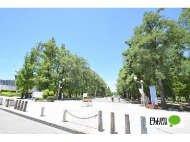 花博記念公園鶴見緑地：1932m