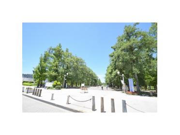 花博記念公園鶴見緑地：1476m