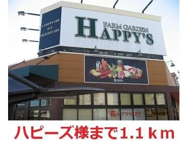 ハピーズ岡輝店：1100m