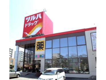 ツルハドラッグひばりが丘店：254m