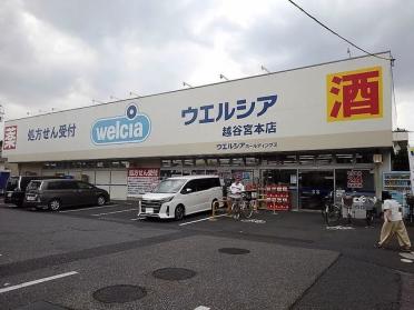 ウエルシア越谷宮本店：750m