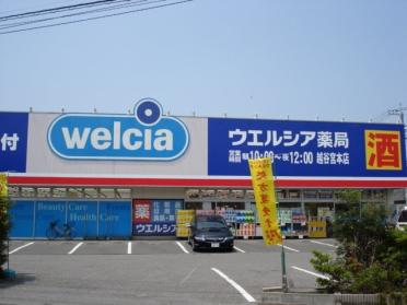 ウエルシア越谷宮本店：621m