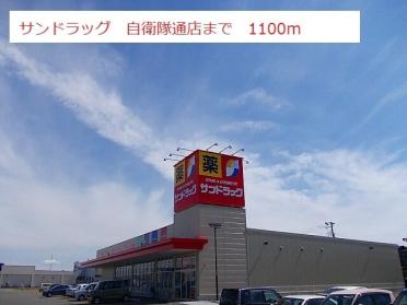 サンドラッグ　自衛隊通店：1100m