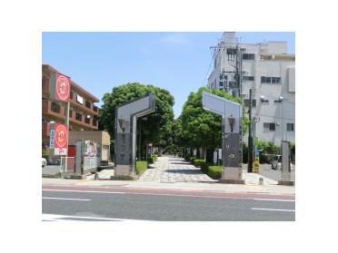 鹿児島県立短期大学附属図書館：2536m