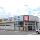 ウエルシア富山豊田店：703m