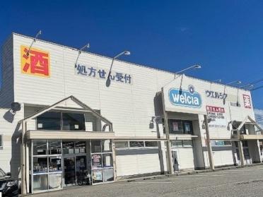 ウエルシア富山上飯野店：700m