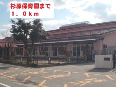 杉原保育園：1000m