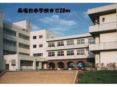 長坂台小学校：20m