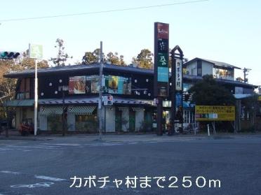 カボチャ村：250m