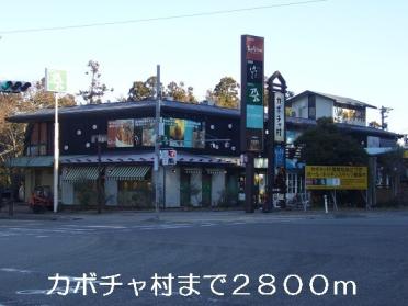 カボチャ村：2800m