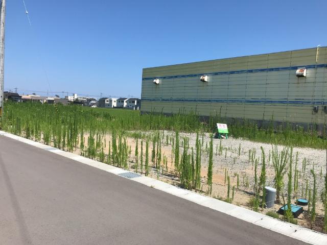土地2