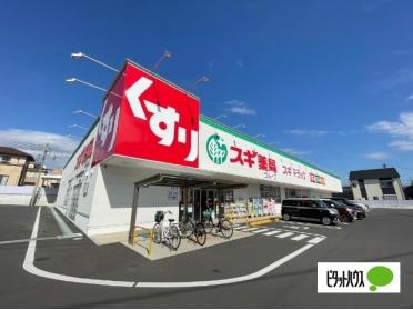 スギドラッグ富士北店：527m