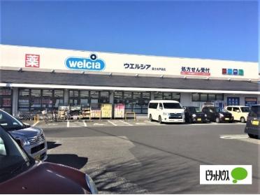 ウエルシア富士水戸島店：896m