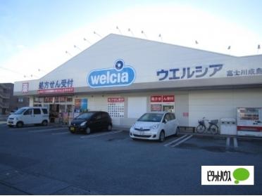 ウエルシア富士川成島店：506m