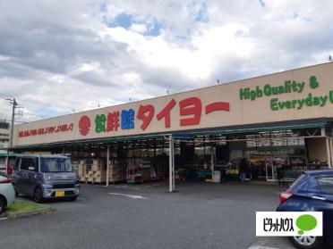 食鮮館タイヨー荒田島店：521m