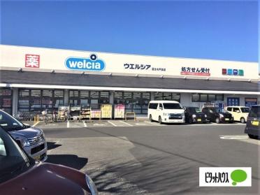 ウエルシア富士水戸島店：738m