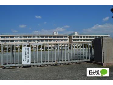 富士市立吉原小学校：516m