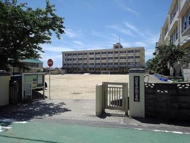 石垣小学校：220m