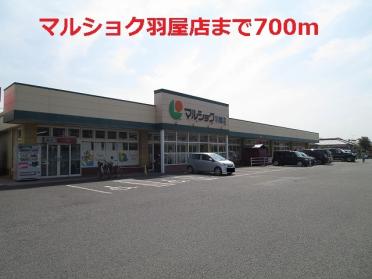 マルショク羽屋店：700m