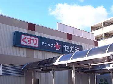 ドラッグセガミ琵琶店：545m