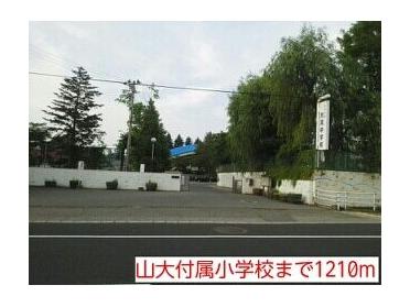 山大付属小学校：1210m